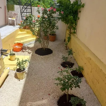 Zoe's House In Casa vacanze