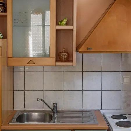 Zoe's House In *